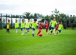 塞瓦略斯冲,刺回归,力争客战阿,世界杯买球,2026世界杯投注,在线买球,赔率分析,赛事下注