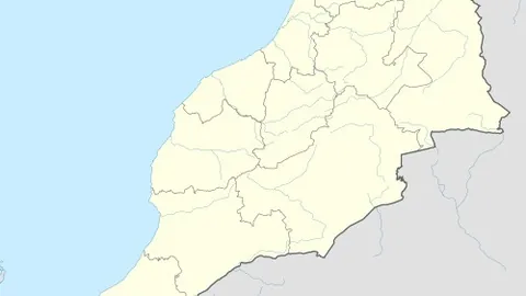 奥尔莫球场多才，弗里克视其为足球巨星