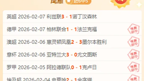 纽卡主席明确表示：伊萨克价值非凡，今夏力争续约留队